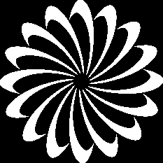 Decorative circular accent behind the team profile image